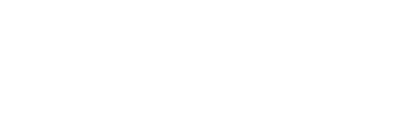 Co-Active Training Institute